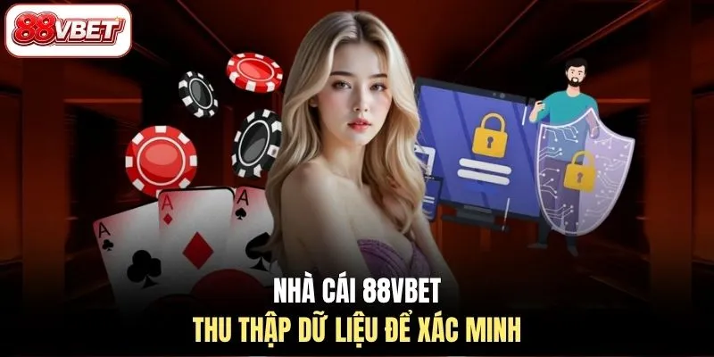  Nhà cái 88VBET thu thập dữ liệu để xác minh